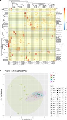 Differential enrichment of bacteria and phages in the vaginal microbiomes in PCOS and obesity: shotgun sequencing analysis
